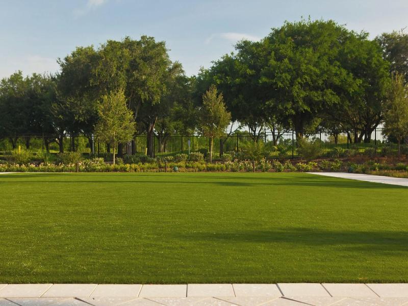 Renaissance Orlando At Seaworld® image
