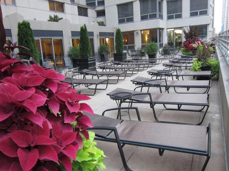 Courtyard Chicago Downtown/River North image