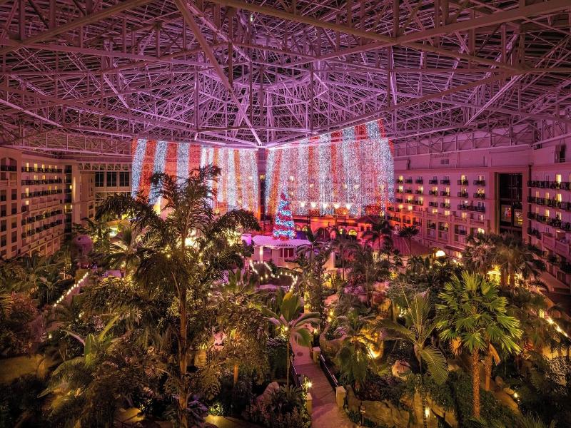 Gaylord Palms Resort & Convention Center image