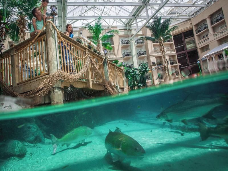 Gaylord Palms Resort & Convention Center image