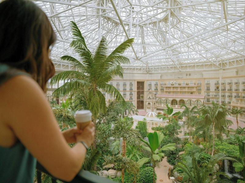 Gaylord Palms Resort & Convention Center image