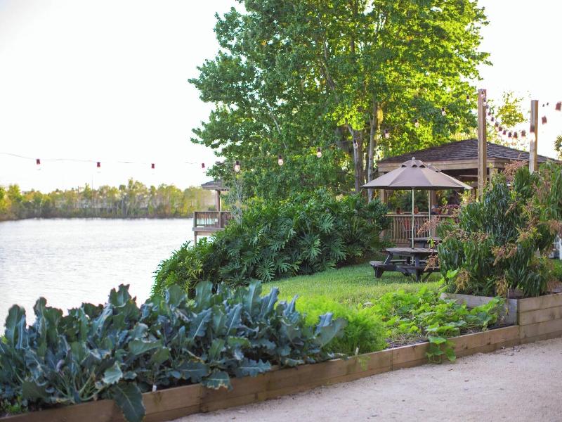 Orlando Airport Marriott Lakeside image
