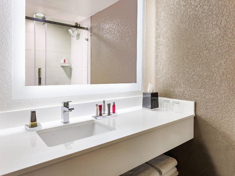 Orlando Airport Marriott Lakeside image