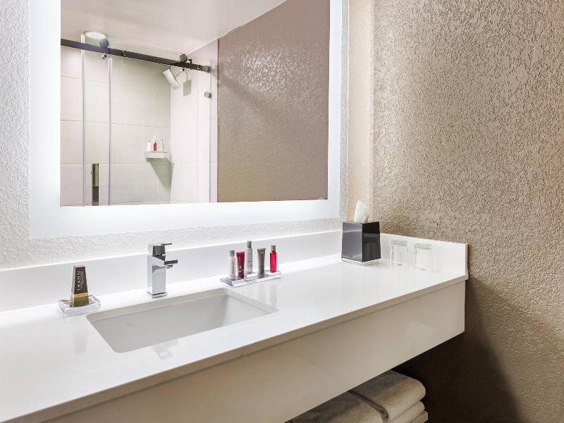 Orlando Airport Marriott Lakeside image