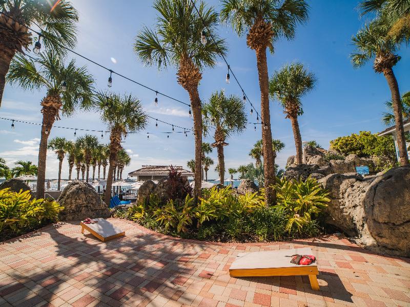 Clearwater Beach Marriott Resort on Sand Key image