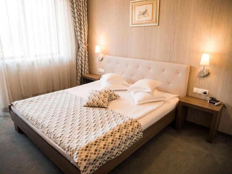 Best Western Silva Hotel image