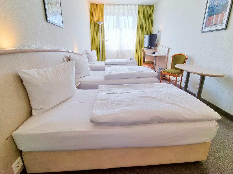 Panorama Inn Hotel und Boardinghaus image