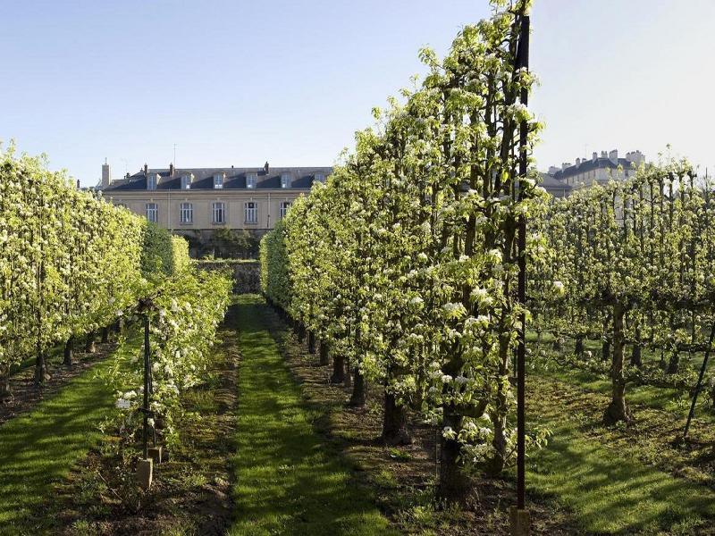 Waldorf Astoria Versailles - Trianon Palace image