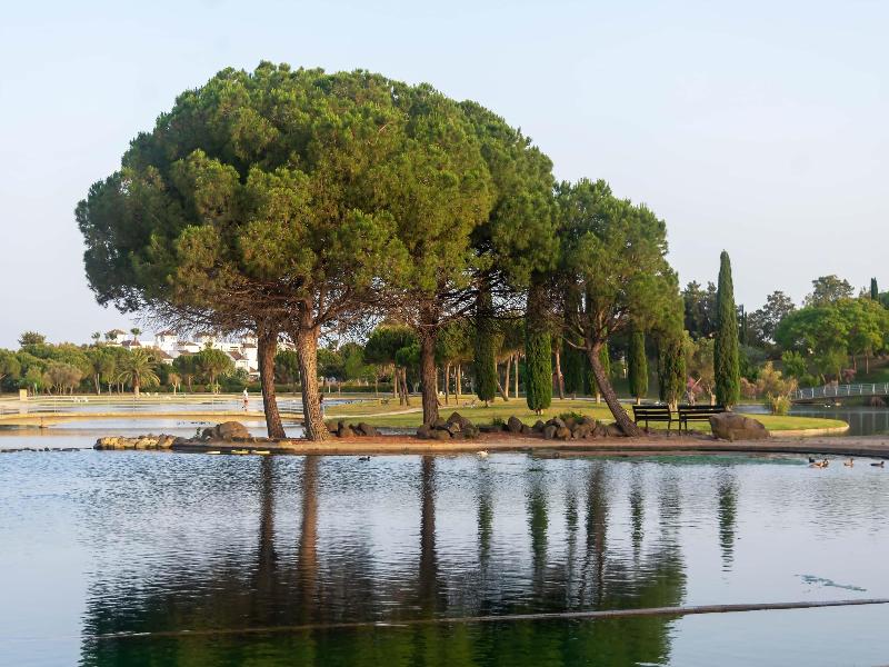 Barcelo Costa Ballena image