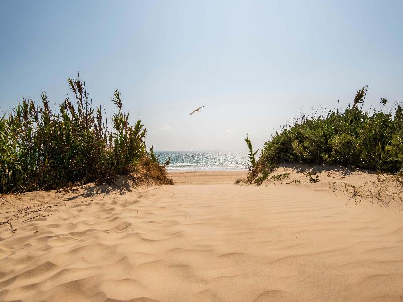 Barcelo Costa Ballena image