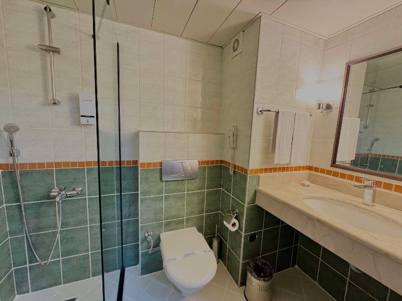Best Western Plus Khan Hotel image