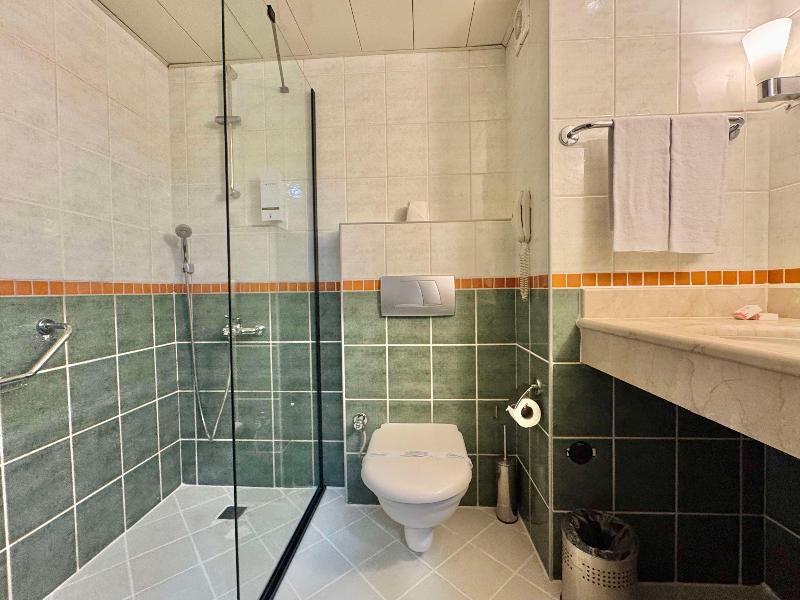 Best Western Plus Khan Hotel image