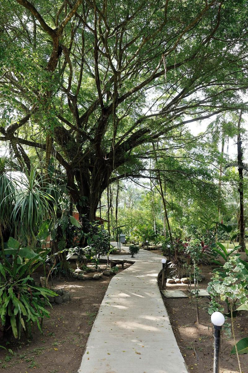Turtle Beach Lodge  image