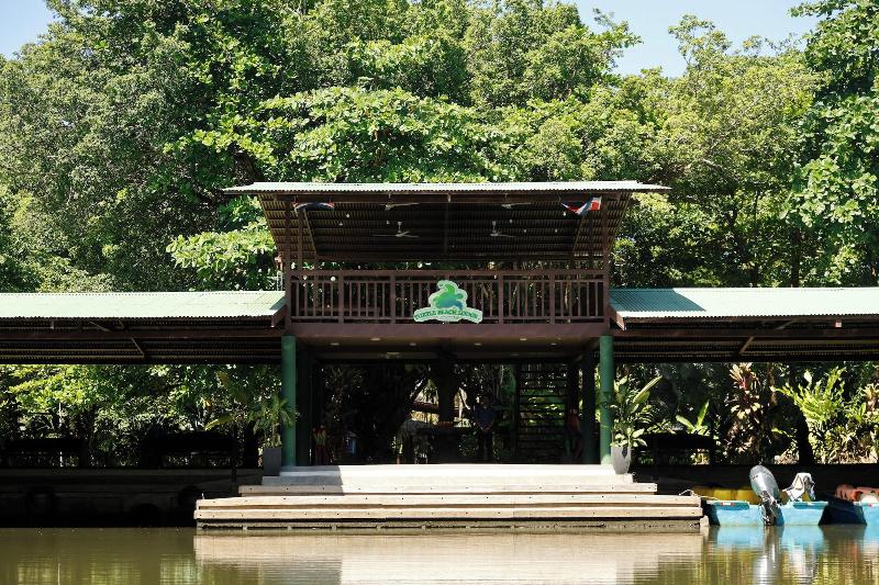 Turtle Beach Lodge  image