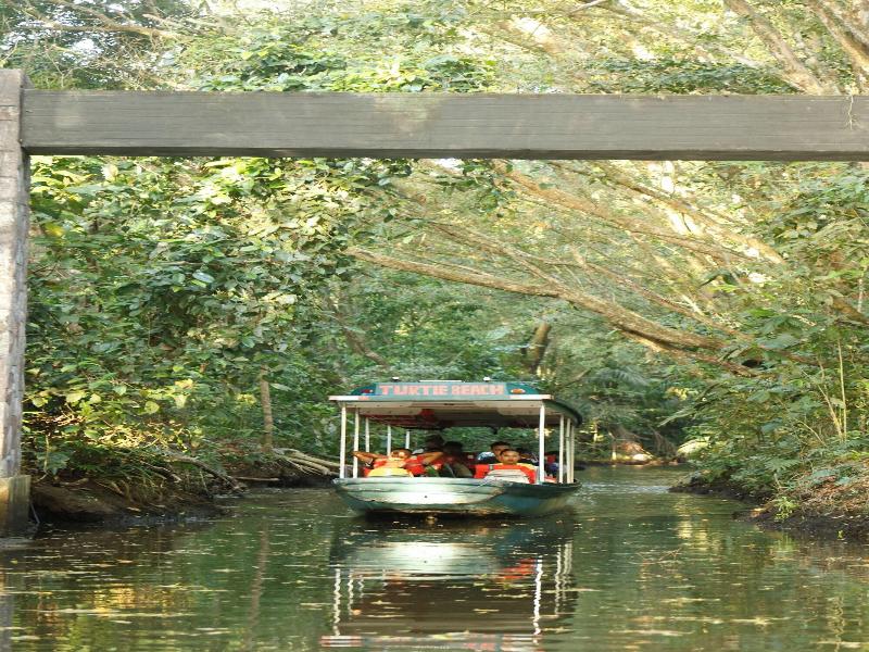 Turtle Beach Lodge  image