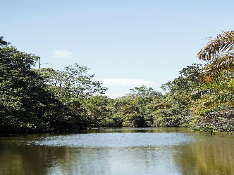 Turtle Beach Lodge  image