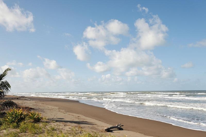 Turtle Beach Lodge  image