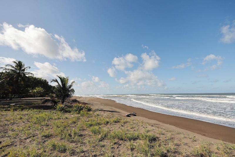 Turtle Beach Lodge  image