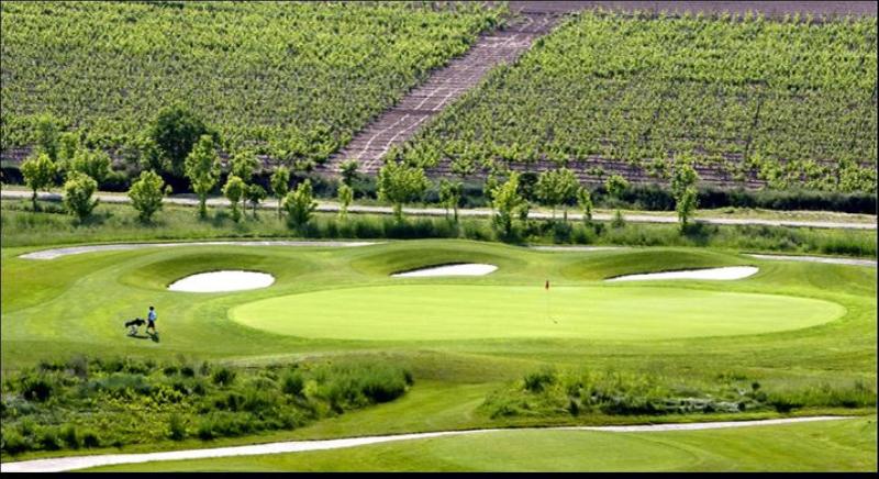 Holiday Inn Express Logrono Rioja image