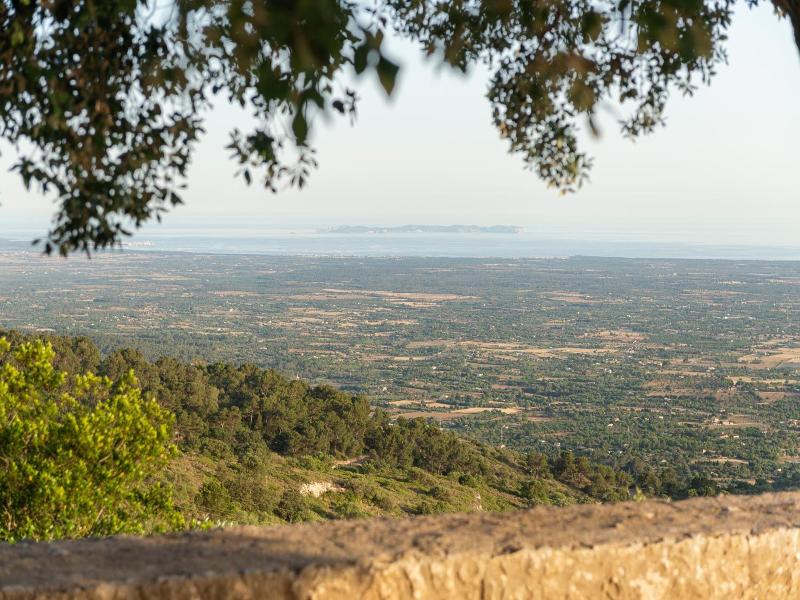 Santuari de Cura image