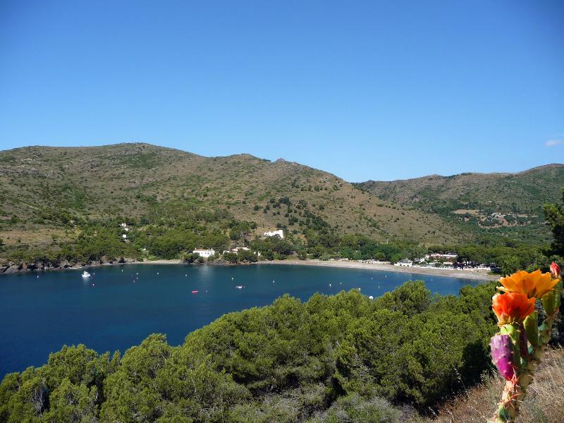 Cala Montjoi image
