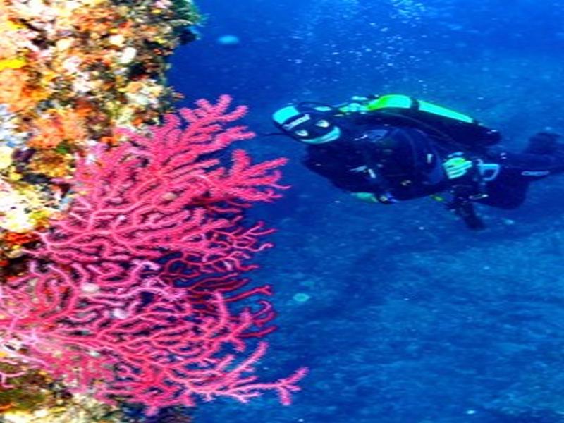 Cala Montjoi image
