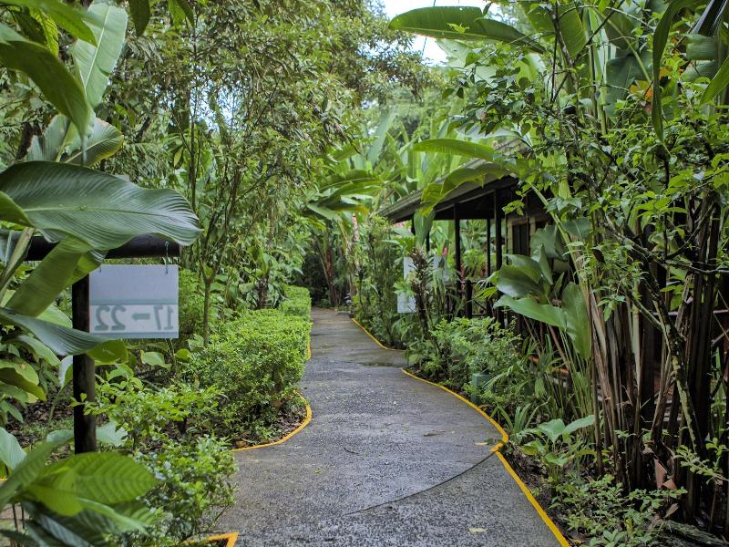 Pachira Lodge image