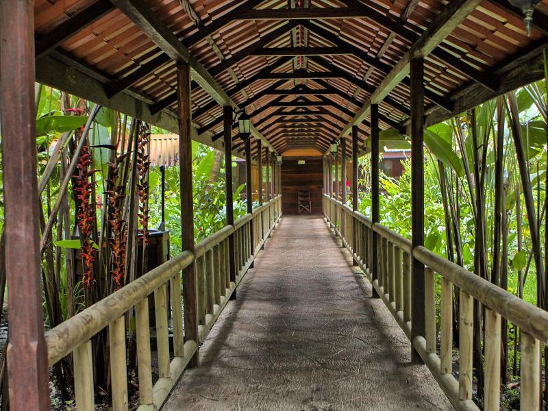 Pachira Lodge image