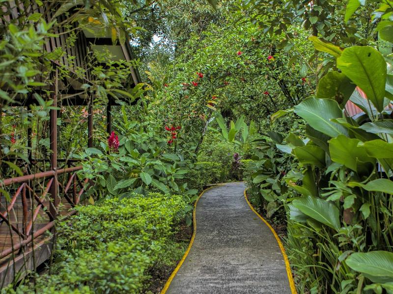 Pachira Lodge image