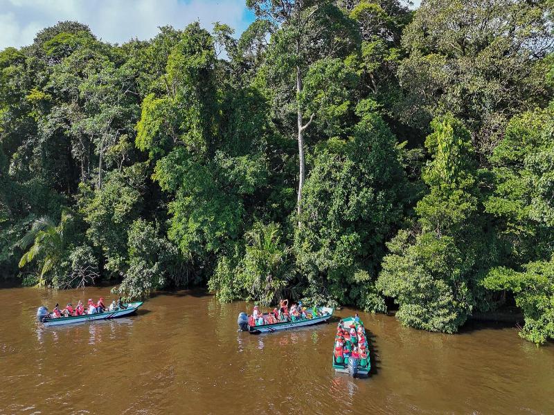 Pachira Lodge image
