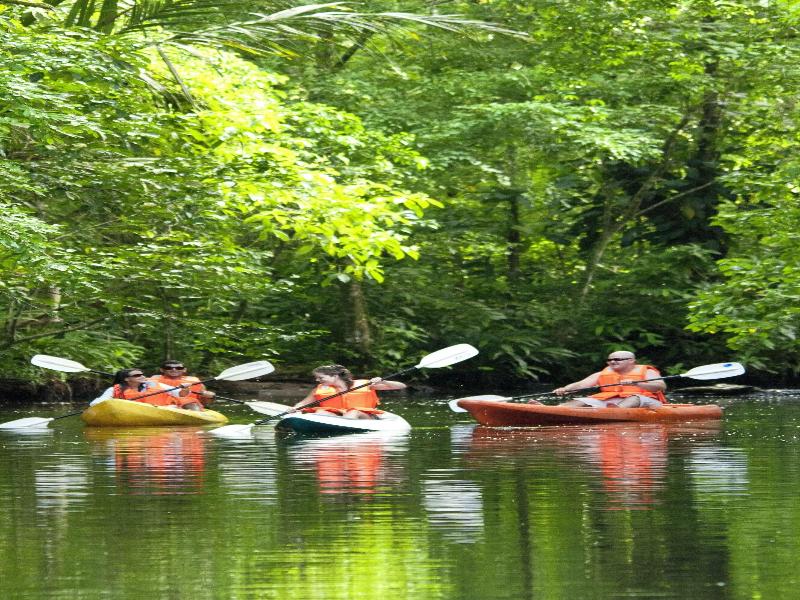 Pachira Lodge image