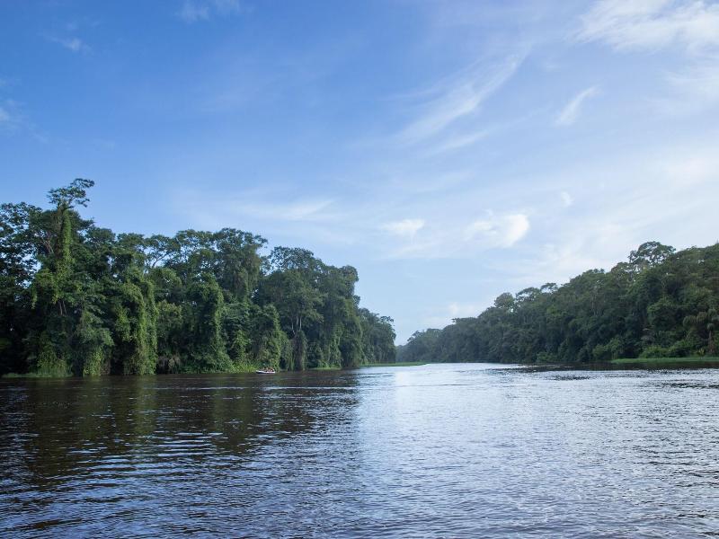 Pachira Lodge image