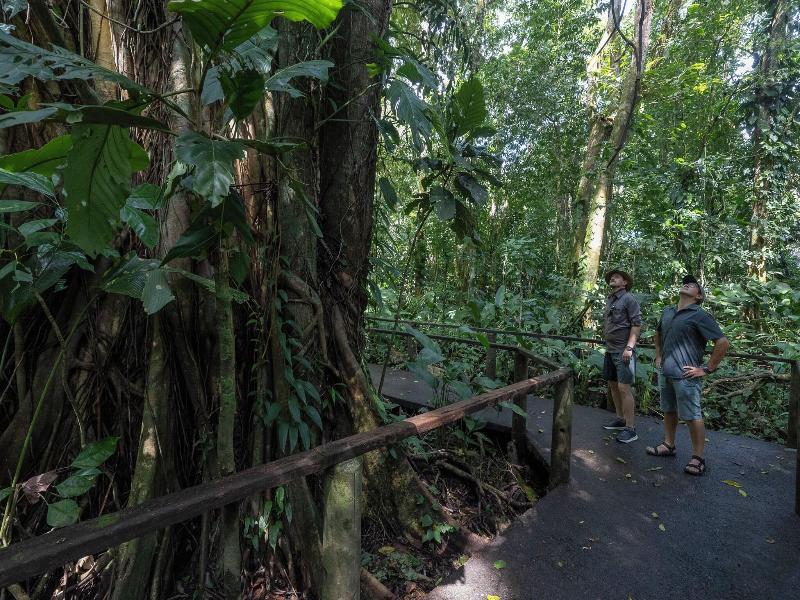 Pachira Lodge image