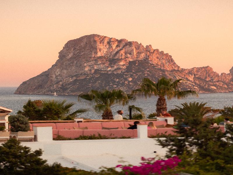 Petunia Ibiza - Adults Only