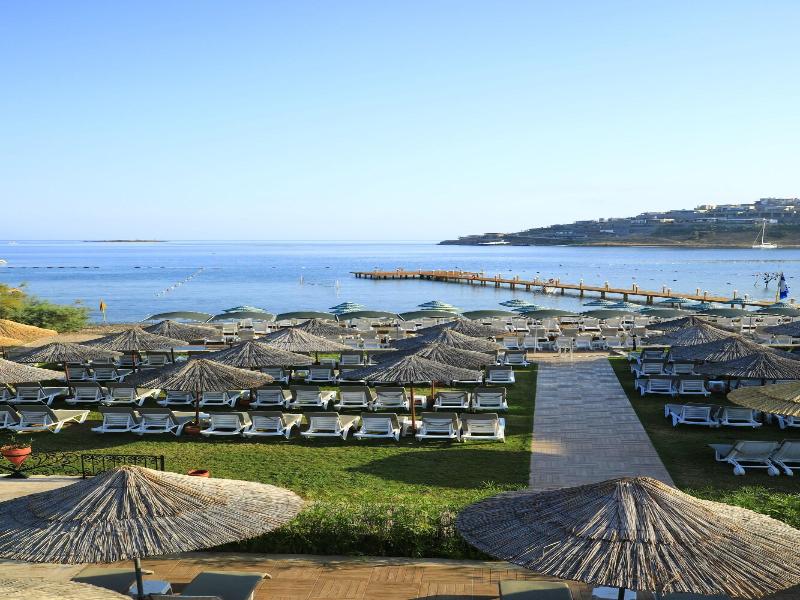 Cactus Fleur Beach Club image