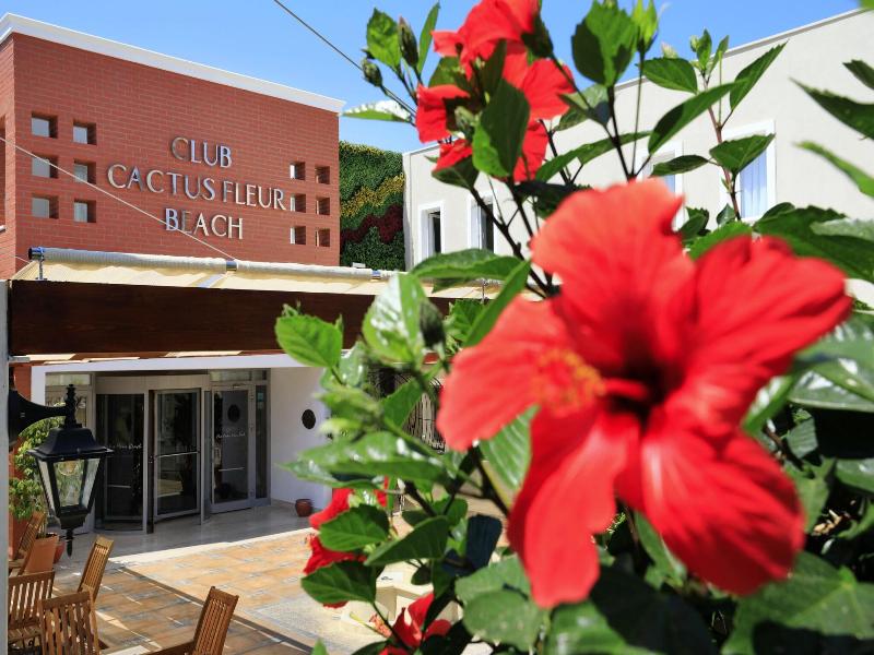 Cactus Fleur Beach Club image