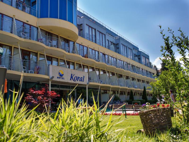 Koral image