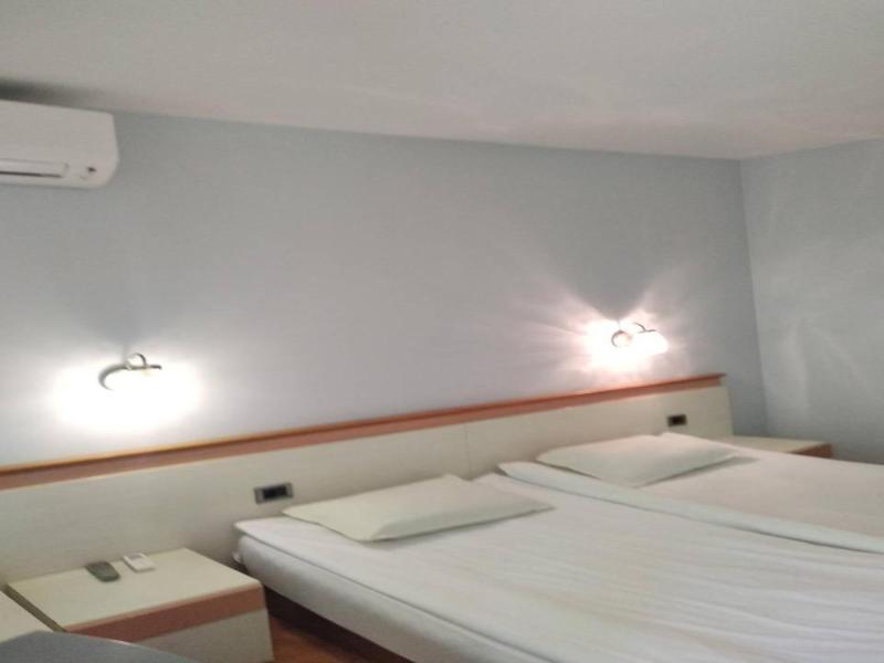 Koral image