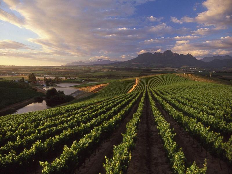 Protea Hotel Stellenbosch image