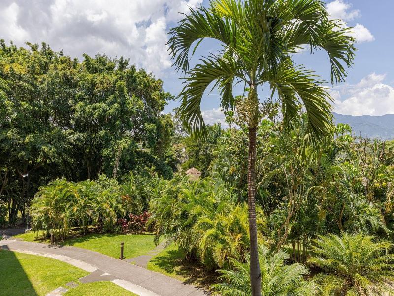 Marriott Costa Rica Hotel Hacienda Belen image