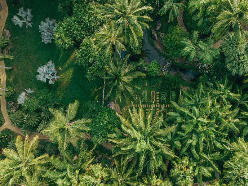 JW Marriott Phuket Resort & Spa image