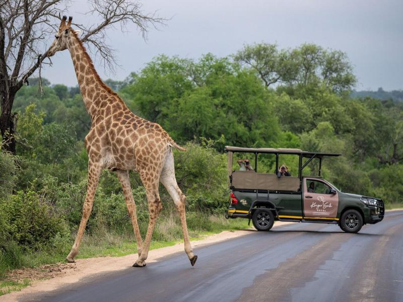 Protea Hotel Kruger Gate image