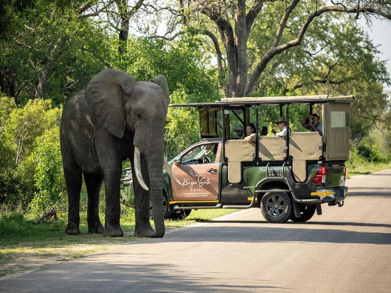 Protea Hotel Kruger Gate image