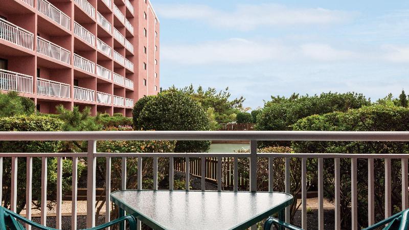 Holiday Inn Oceanfront Ocean City  image