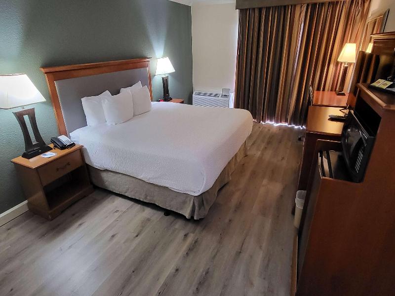 Ramada by Wyndham Houston Intercontinental Airpt E image