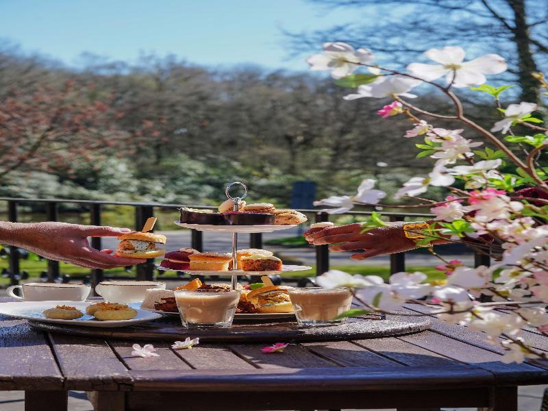 Park Hall Hotel & Leisure Club image