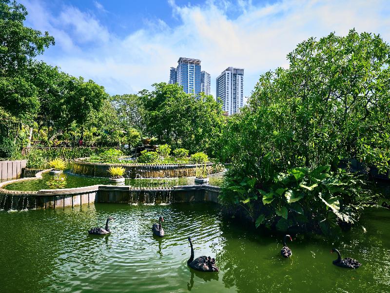 Hilton Colombo image