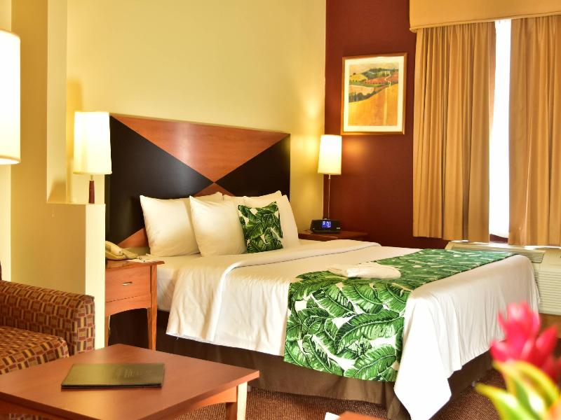 Sleep Inn Paseo Las Damas image