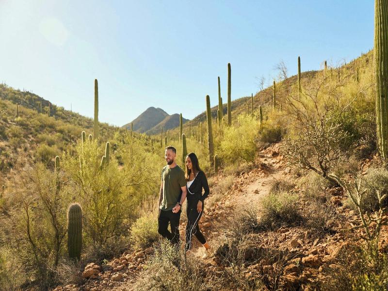 JW Marriott Tucson Starr Pass Resort & Spa image