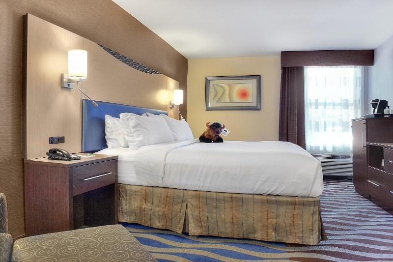 Holiday Inn Cody - Convention Center by IHG photo 18